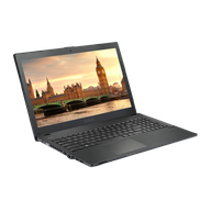 Picture for category AsusPro P Series